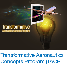 Preliminary Computer Vision Datasets for Autonomous Aviation